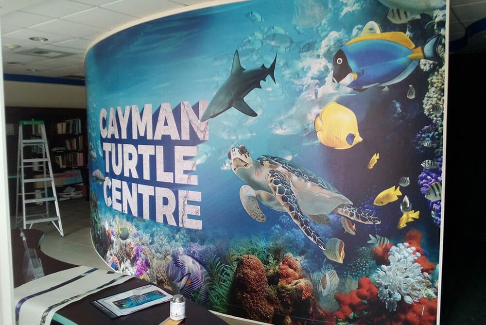 Large Format Printing In Austin